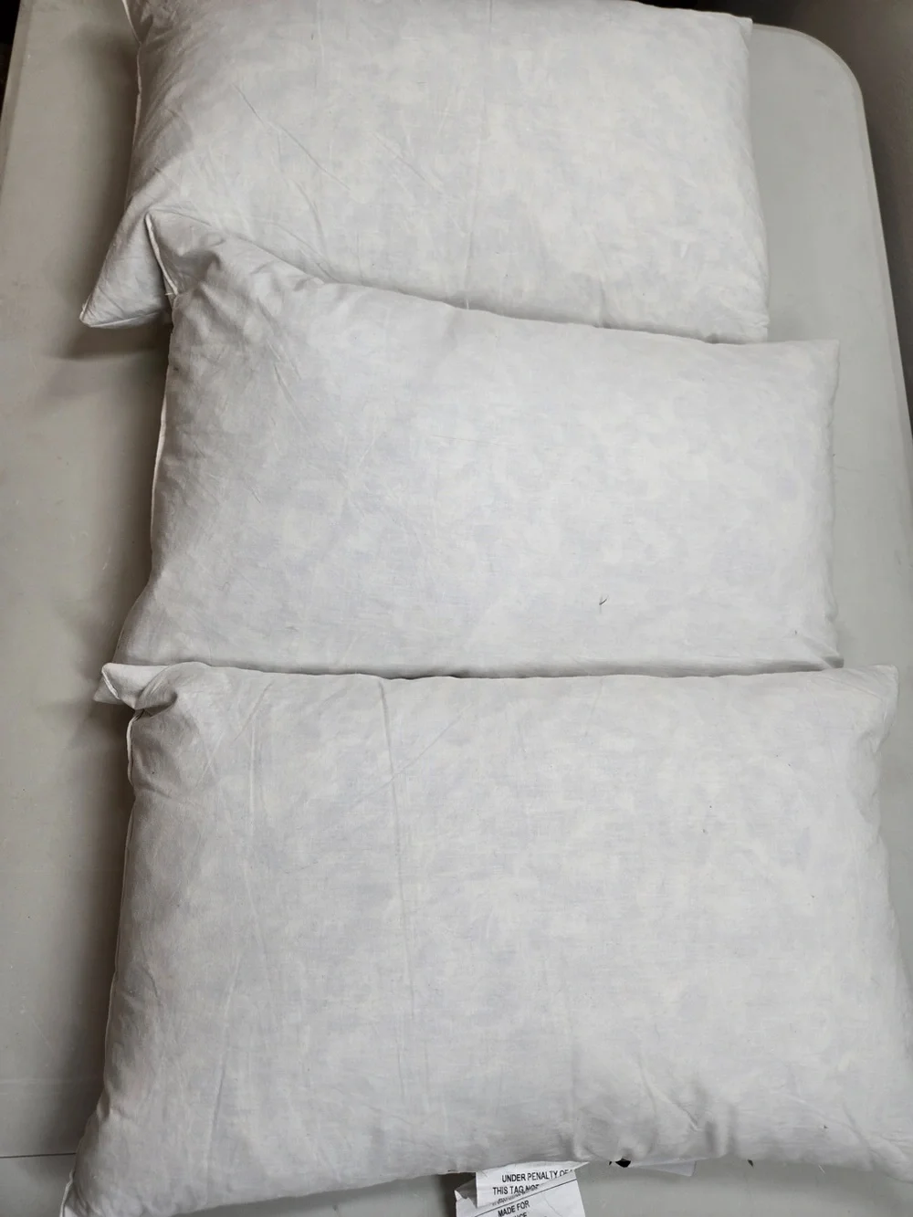 QUINCE Set Of 3 12x20 Premium Feather Pillow Inserts 0016